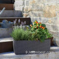 Pots de plantes de jardinière surélevée